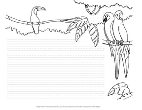 Handwriting Cursive Border Sheets