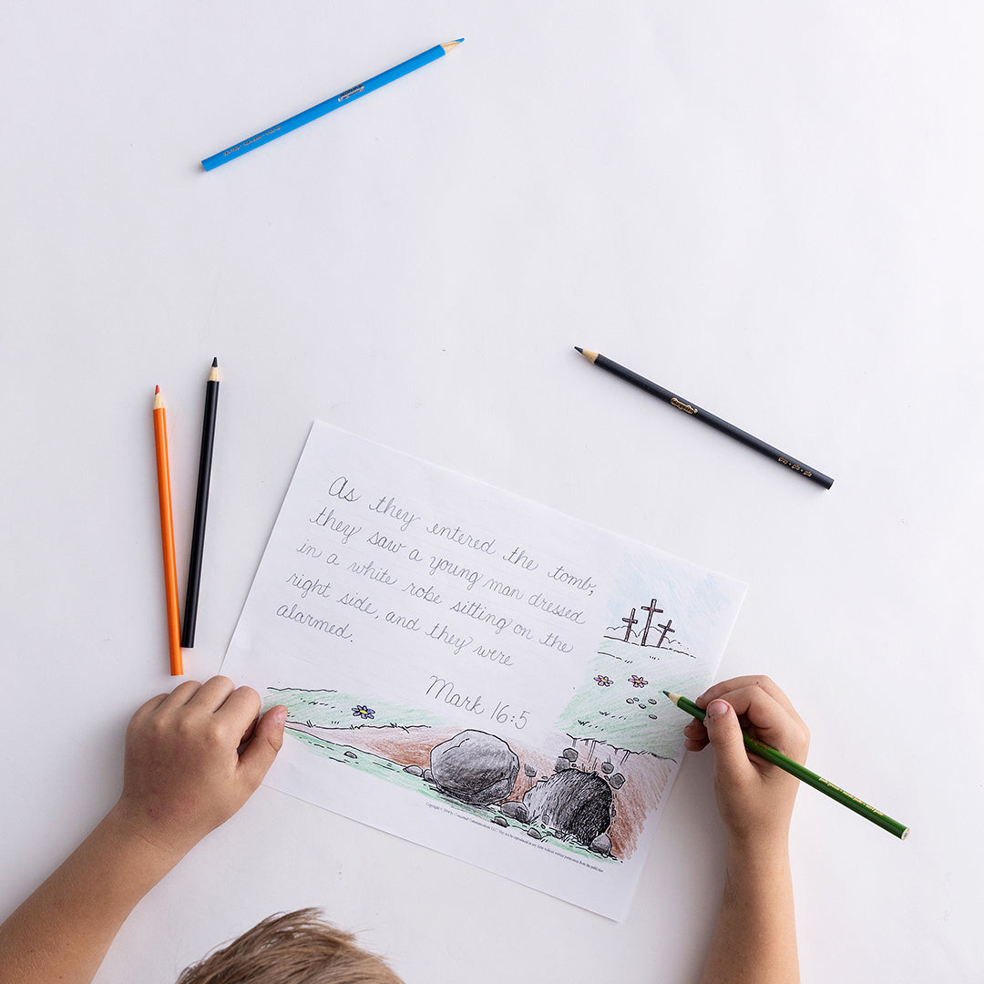 Handwriting Level T (Transition) Student Worktext