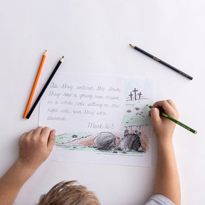 Handwriting Level T (Transition) Set with Revised & Updated Teacher Guidebook