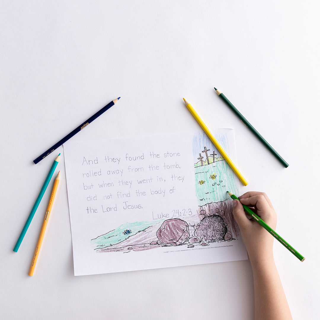 Handwriting Level B Set (with Revised & Updated Teacher Guidebook)