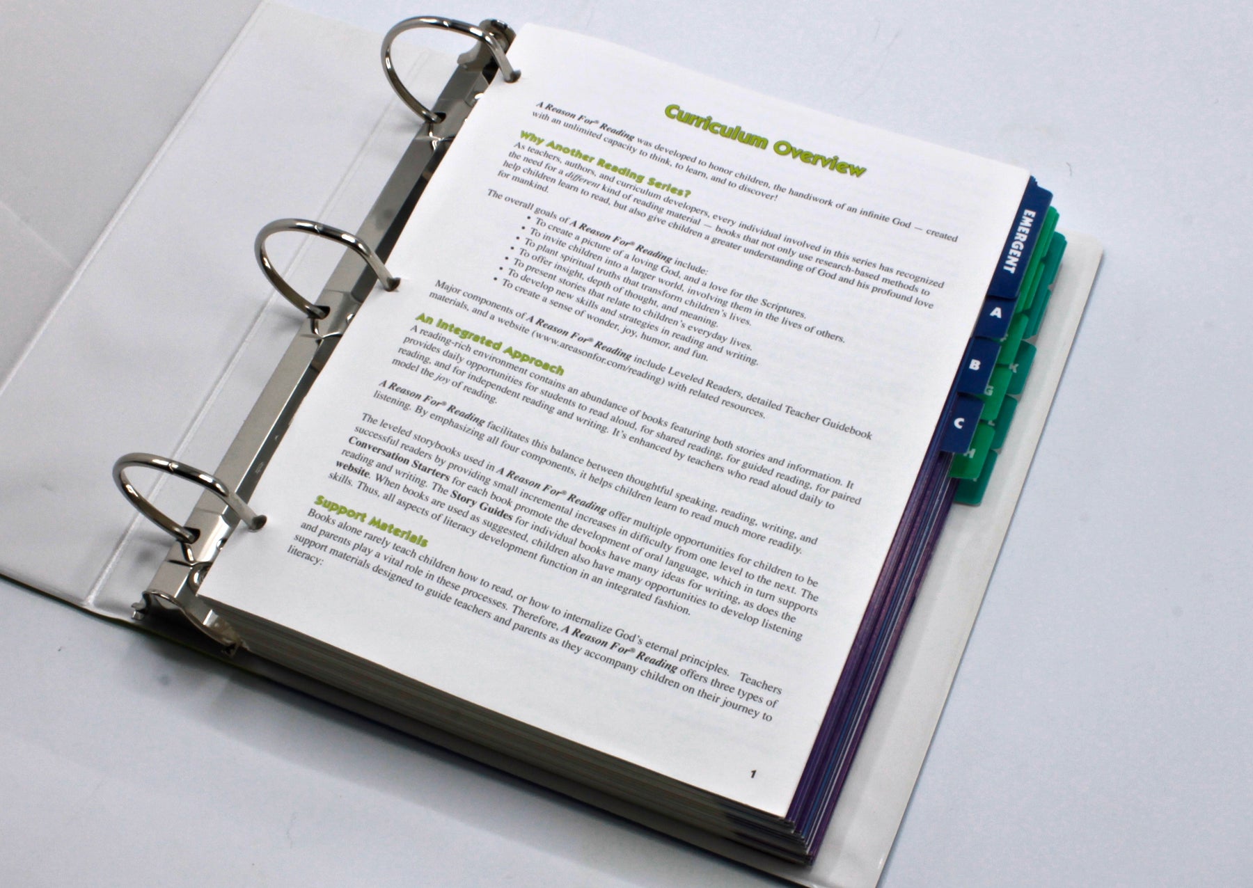 A Reason For Reading® Homeschool Resource Set (95 Readers + 95 Story Guides + Binder)