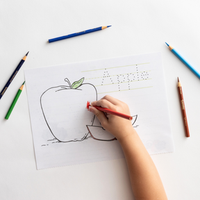 Handwriting Pre-K Letter Introduction Set