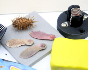 Science Level B Materials Kit